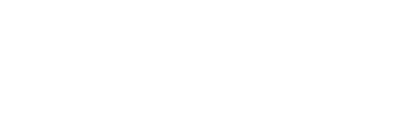 Intelisis